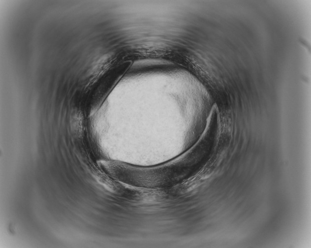 X0000095891108200802081111