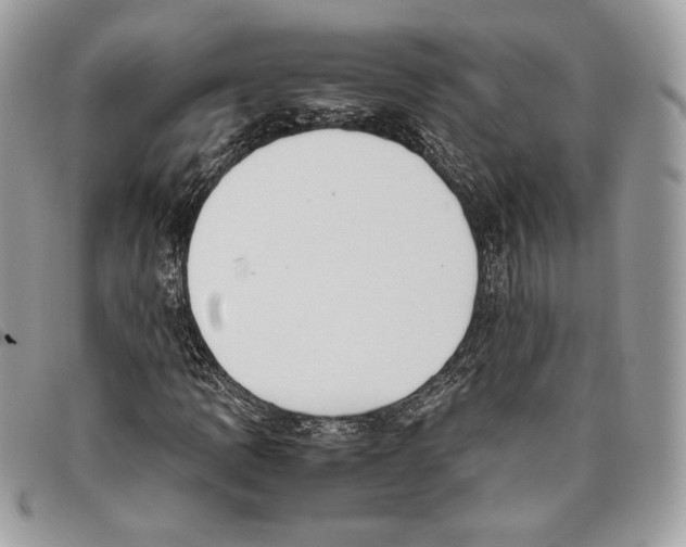 X0000095891109200802081111