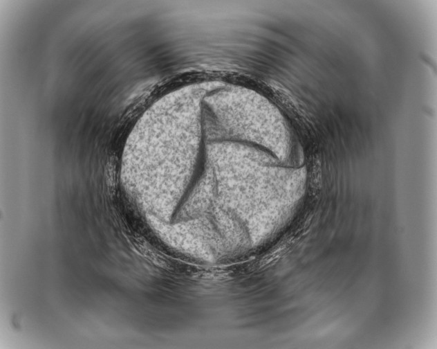 X0000095891110200802081111
