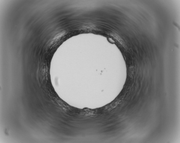 X0000095891111200802081111