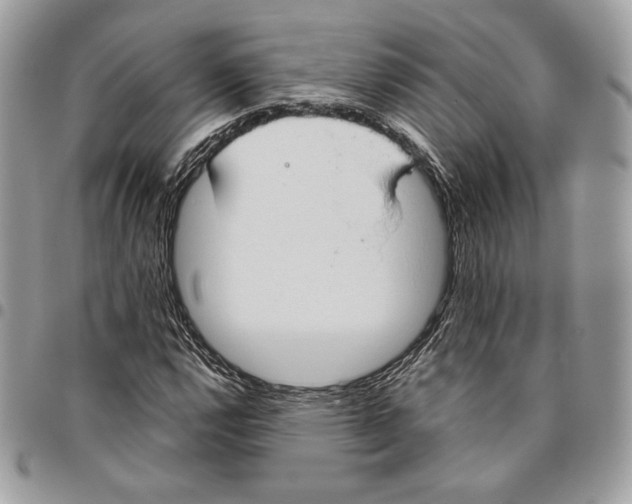 X0000095891112200802081111