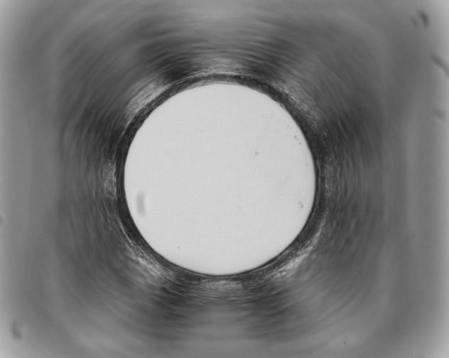 X0000095891113200802081111