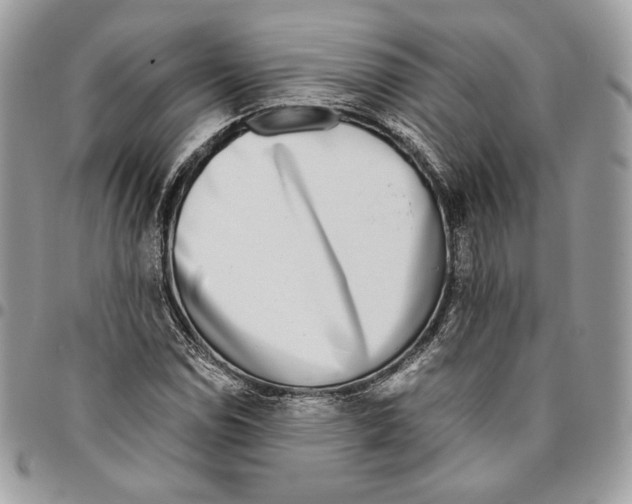X0000095891114200802081111
