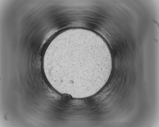 X0000095891115200802081111