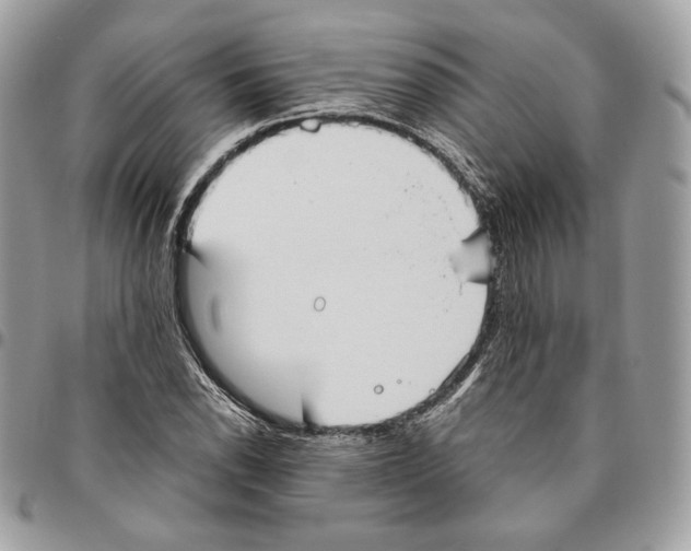 X0000095891118200802081111