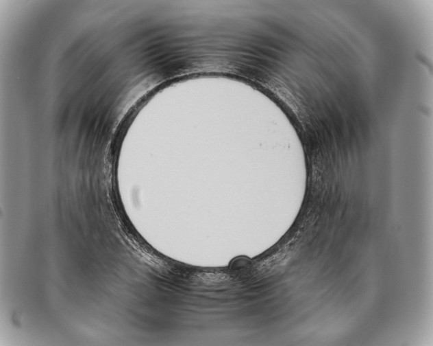 X0000095891119200802081111