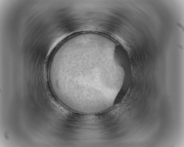 X0000095891120200802081111