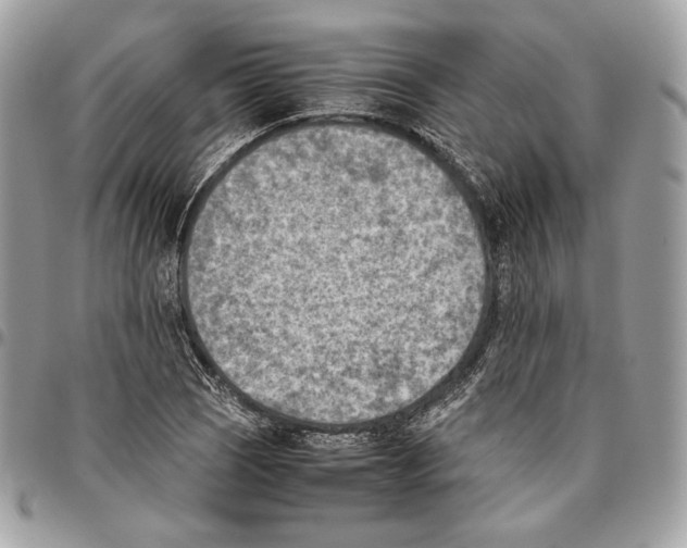 X0000095891121200802081111