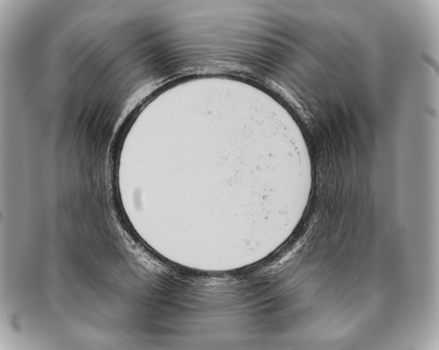 X0000095891122200802081111