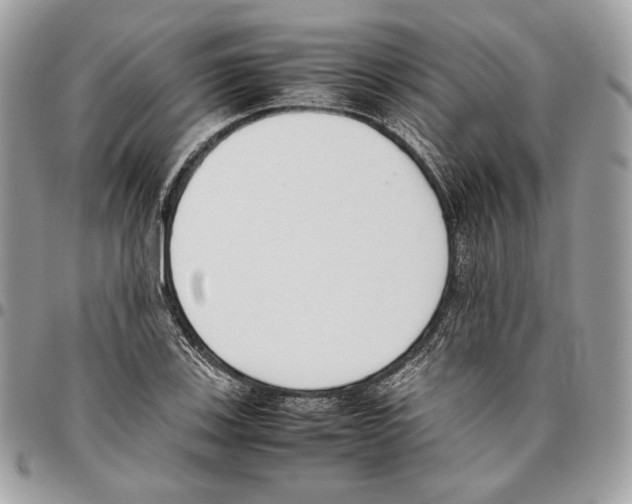 X0000095891123200802081111