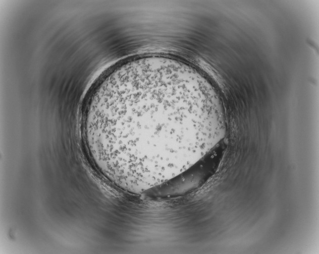 X0000095891124200802081111