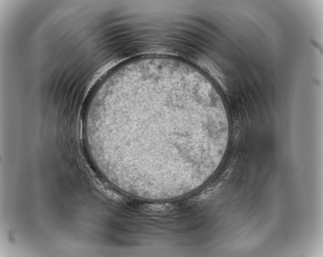 X0000095891125200802081111
