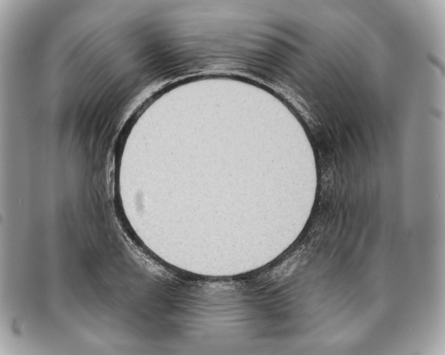 X0000095891126200802081111