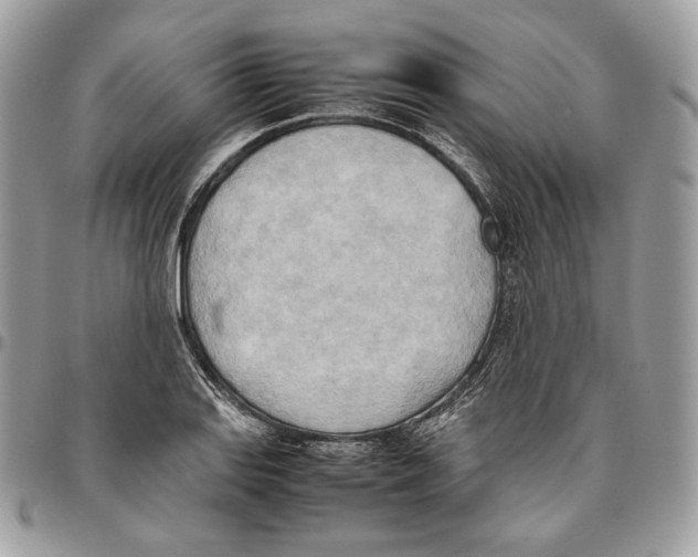 X0000095891127200802081111