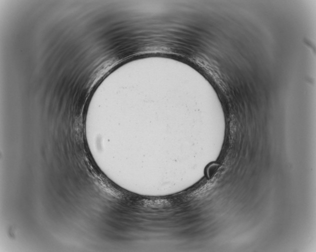 X0000095891129200802081111