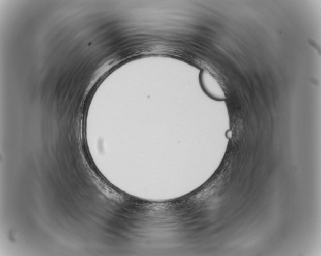 X0000095891130200802081111