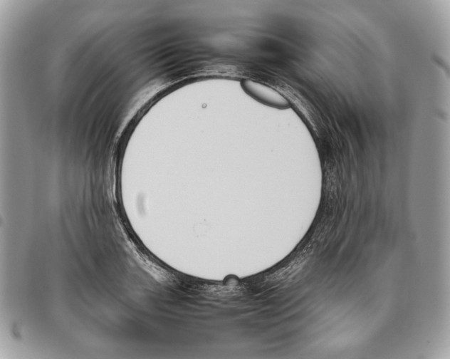 X0000095891131200802081111