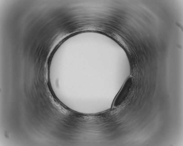 X0000095891132200802081111