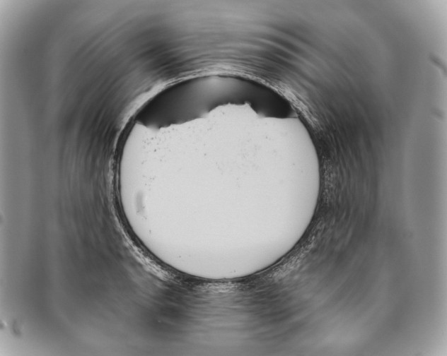 X0000095891134200802081111