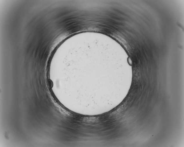 X0000095891135200802081111