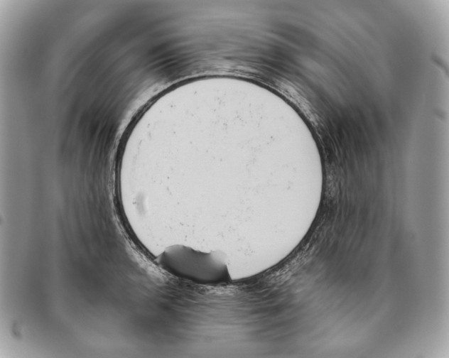 X0000095891136200802081111