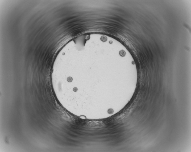 X0000095891137200802081111