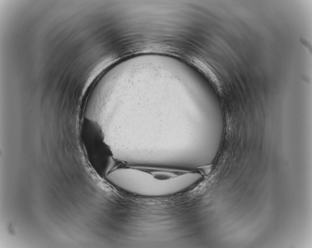 X0000095891138200802081112