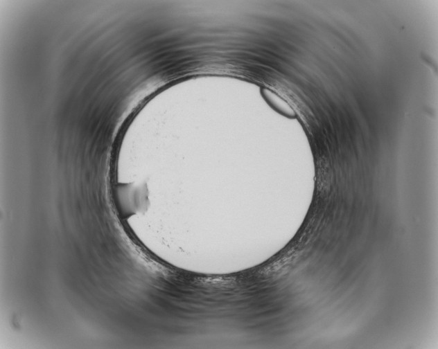 X0000095891139200802081112
