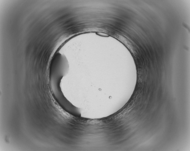 X0000095891140200802081112