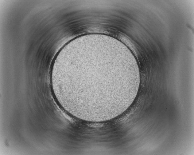 X0000095891141200802081112