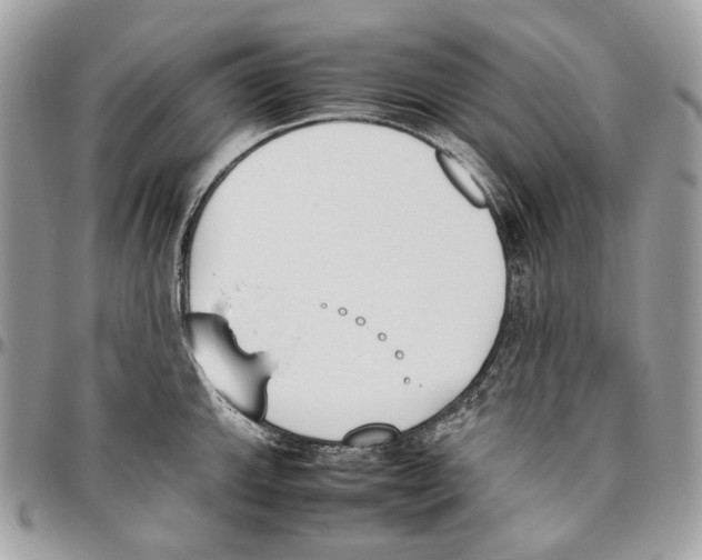 X0000095891143200802081112