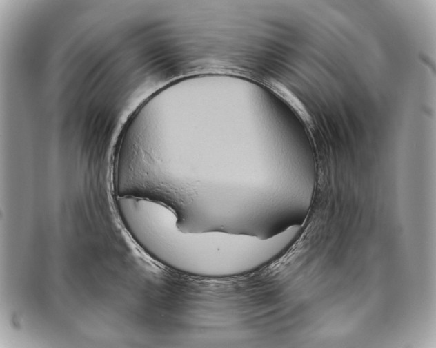 X0000095891144200802081112
