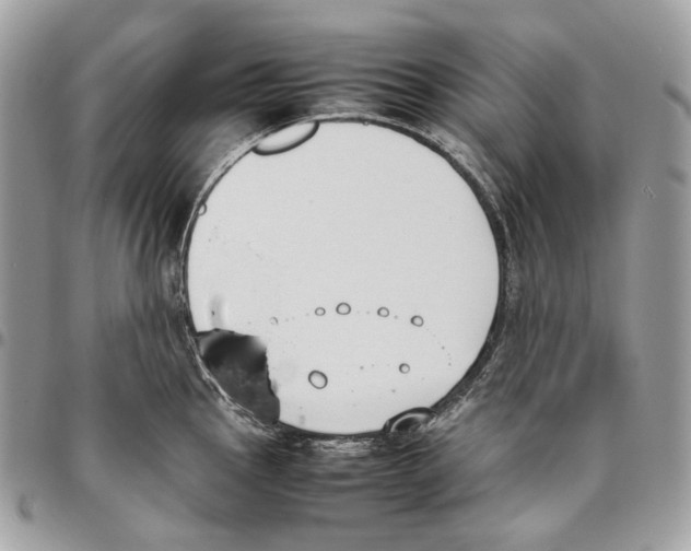 X0000095891145200802081112