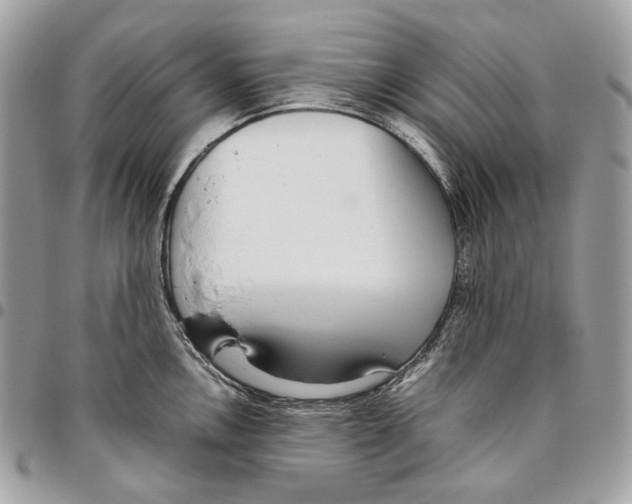 X0000095891146200802081112