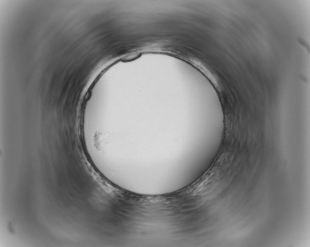 X0000095891148200802081112
