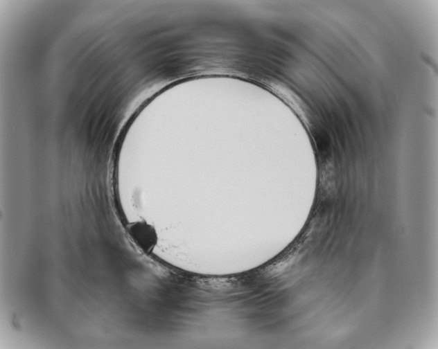 X0000095891149200802081112
