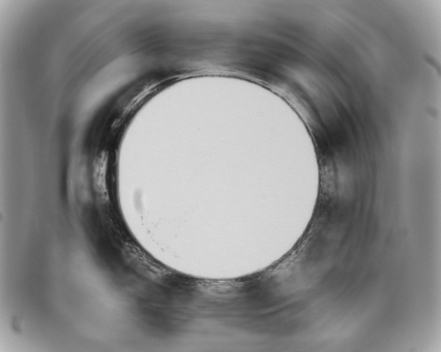 X0000095891150200802081112