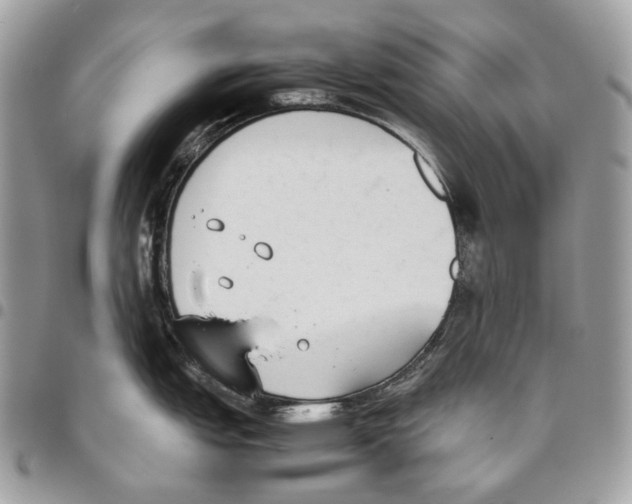 X0000095891151200802081112