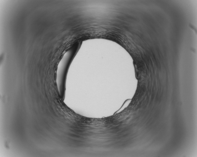 X0000095891153200802081111