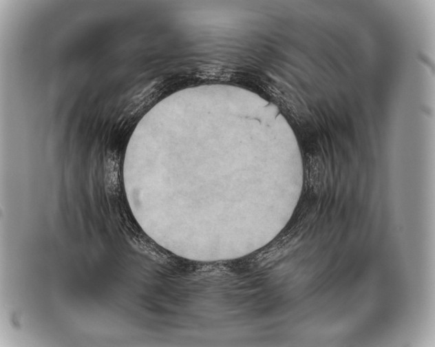 X0000095891154200802081111