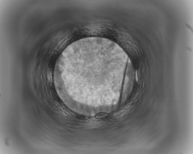 X0000095891155200802081111