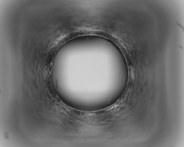X0000095891157200802081111