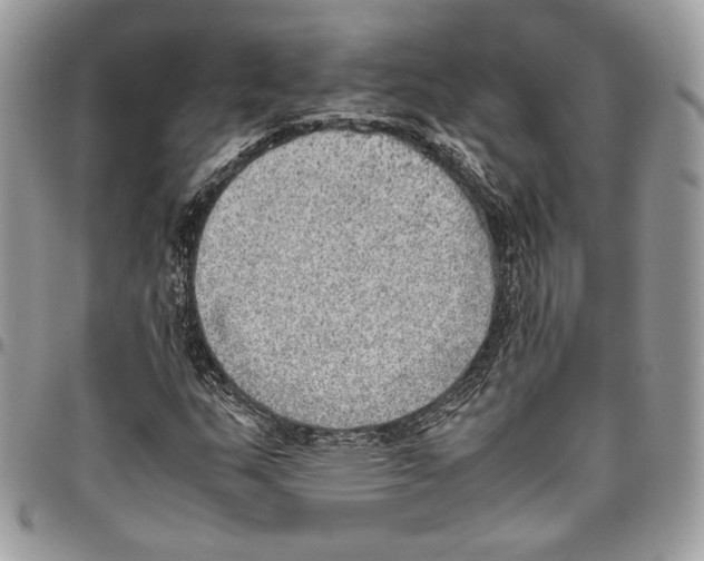 X0000095891159200802081111
