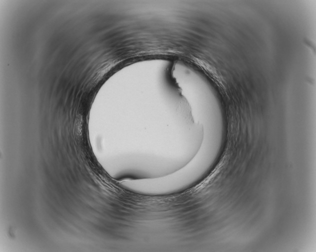 X0000095891161200802081111