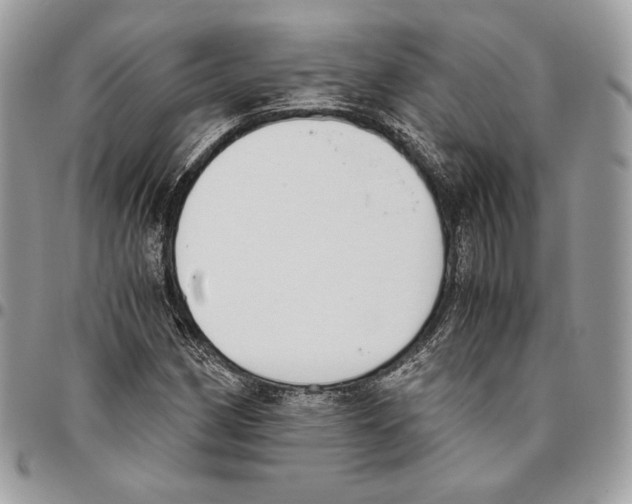 X0000095891162200802081111
