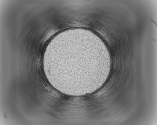 X0000095891163200802081111