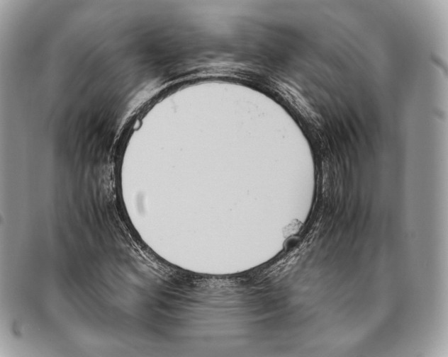 X0000095891164200802081111