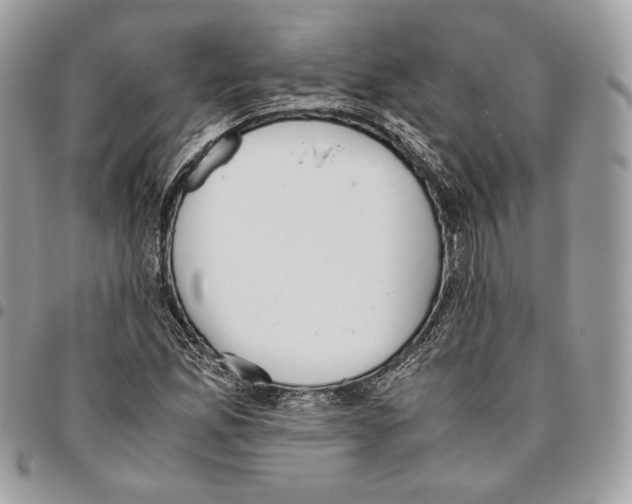 X0000095891165200802081111