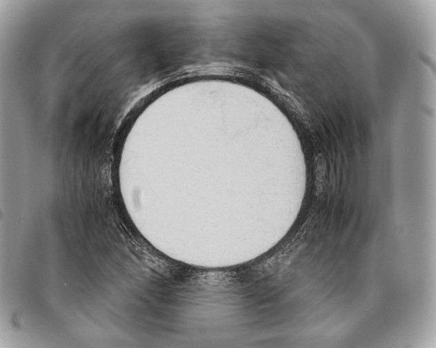 X0000095891166200802081111