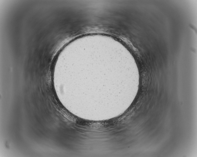 X0000095891167200802081111